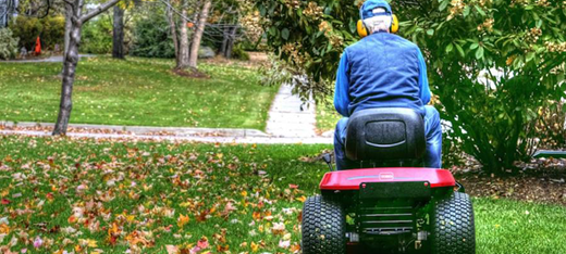 Are you Looking for the Lawn Mower That Picks Up Leaves? Then You’re in the Right Place!